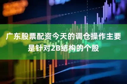广东股票配资今天的调仓操作主要是针对2B结构的个股